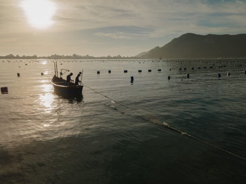 Projeto fotodocumental registra o trabalho de maricultores de Bombinhas