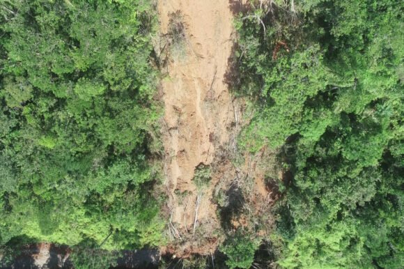 Parque do Atalaia em Itajaí segue interditado após deslizamento de terra