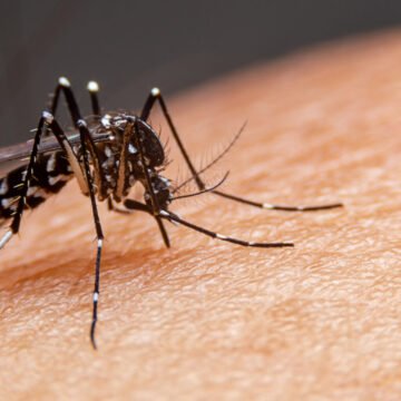 Itapema reforça diagnósticos de dengue com testes rápidos
