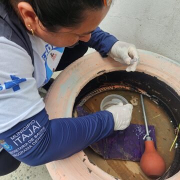 Itajaí indica alto índice de infestação do mosquito causador da dengue