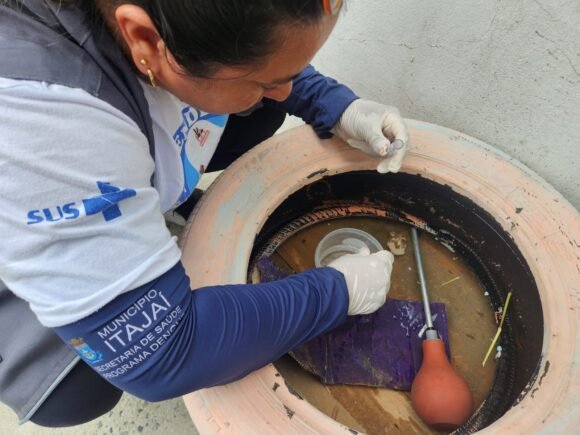 Itajaí indica alto índice de infestação do mosquito causador da dengue