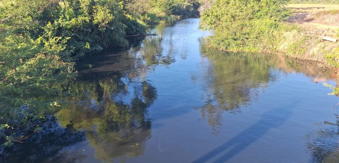 IMP recebe denúncias e fiscaliza lançamento irregular de dejetos no Rio Piçarras