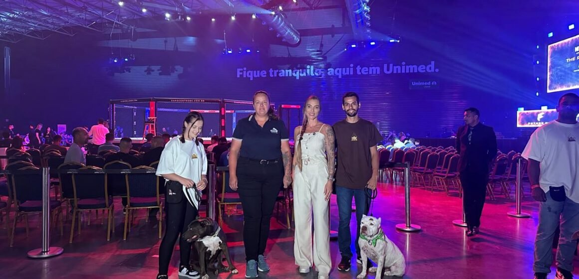 Pitbull acolhido pela UAPA ganha um lar e retoma convívio social