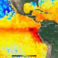 Super El Niño preocupa meteorologistas e pode provocar extremos climáticos em 2026