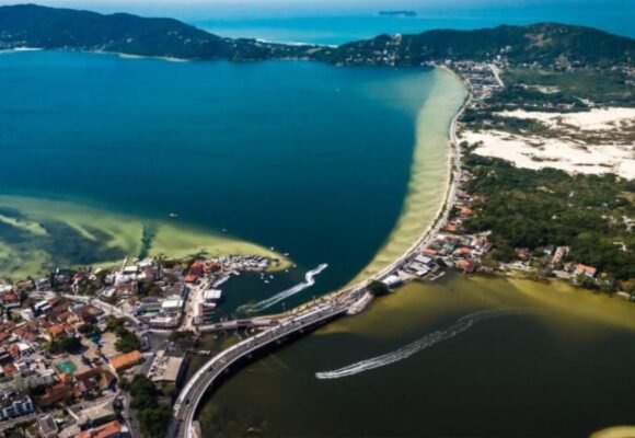 allan-carvalho-pmf-3 Florianópolis celebra 50 anos da canção “Lagoa da Conceição” com festival e programação histórica